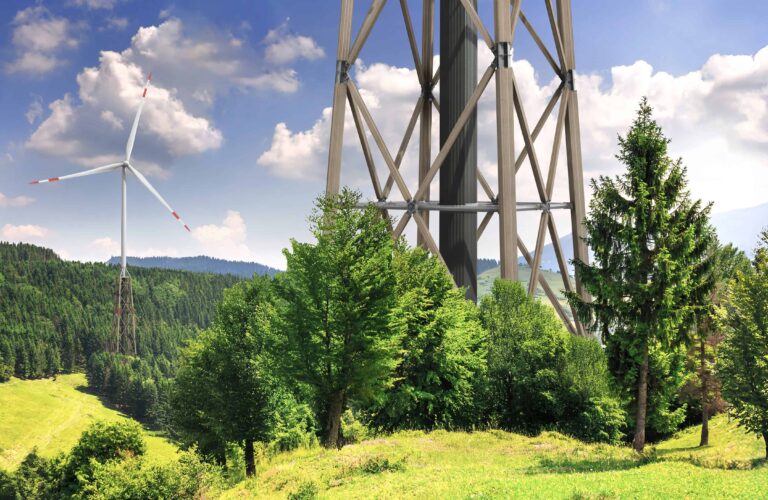 Holz-Hybridturm von HASSLACHER Green Tower im Wald
